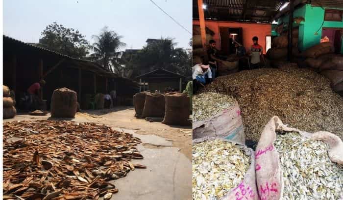 Exclusive After paper mill, Jagiroad dry fish market's fate hangs in