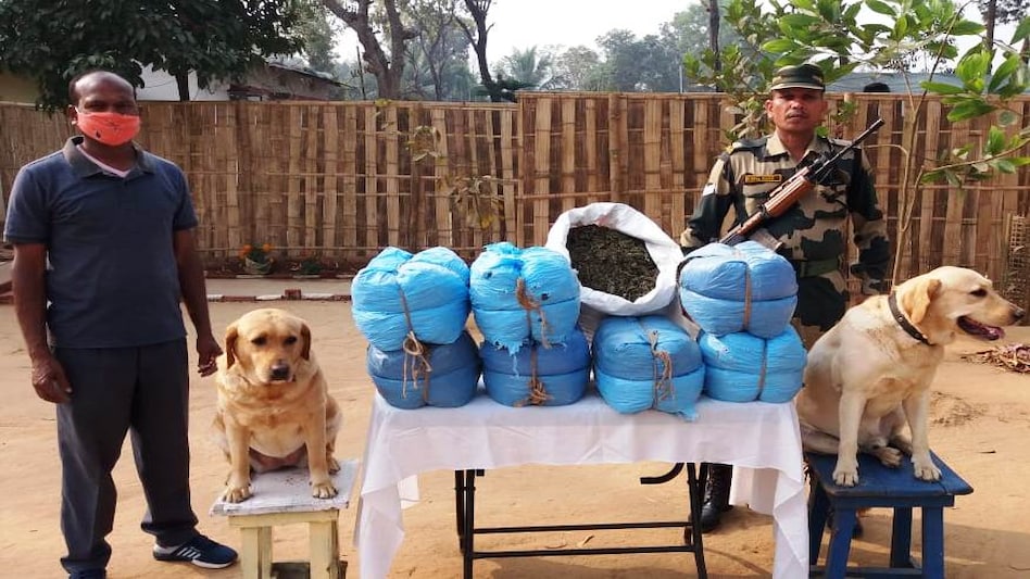 Yaba Tablets, Ganja recovered in Tripura