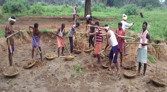 FOUR LAKH BOGUS JOBCARD HOLDERS IDENTIFIED IN ASSAM four lakh bogus