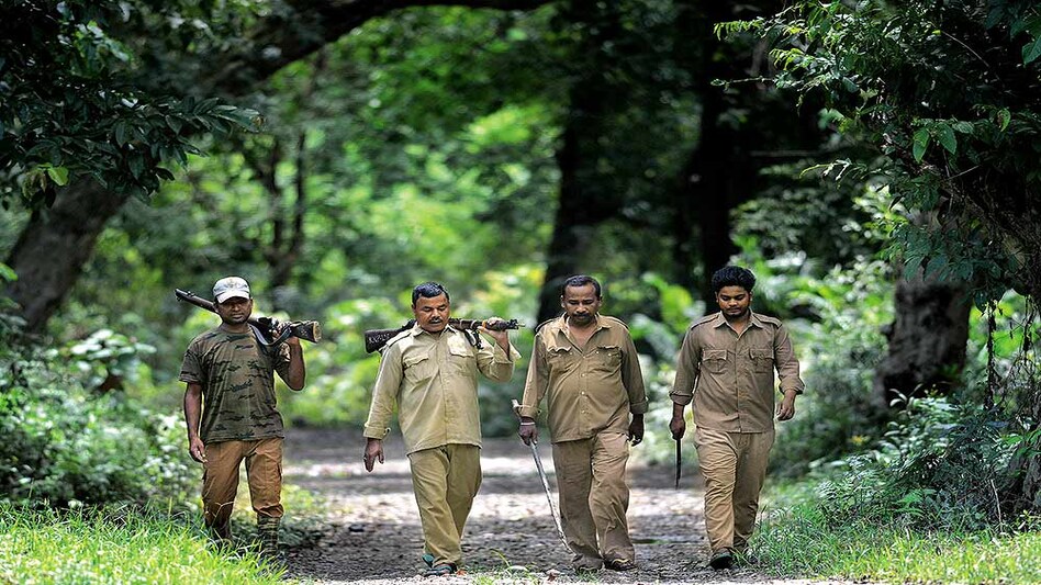 Assam govt hikes ration allowance of forest guards