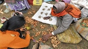 Historic Jonbeel Mela begins in Assam's Morigaon Historic Jonbeel Mela begins in Assam's Morigaon