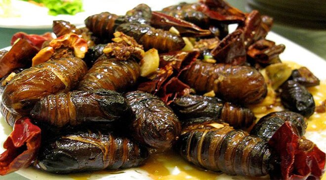 Cuisine: How to cook 'Spicy Silkworms'