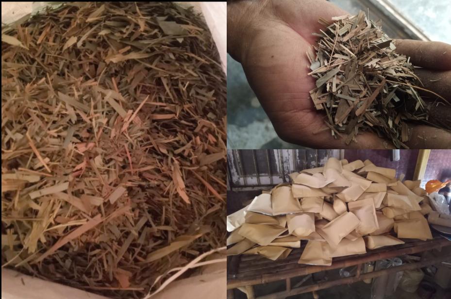 Tripura entrepreneur, Samir Jamatia exports 600 kg 'Bamboo leaf tea' to Europe