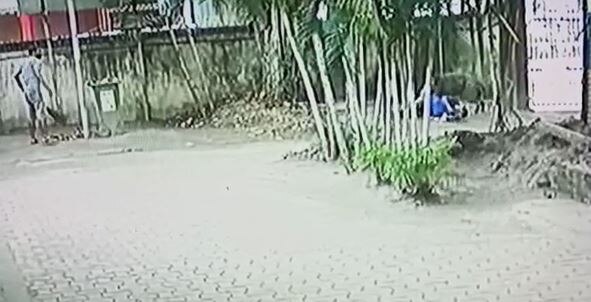 Assam: Four injured in wild boar attack in Guwahati