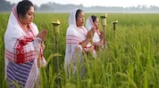 Denizens of Assam Celebrate 'Kongali Bihu' Today Denizens of Assam Celebrate 'Kongali Bihu' Today