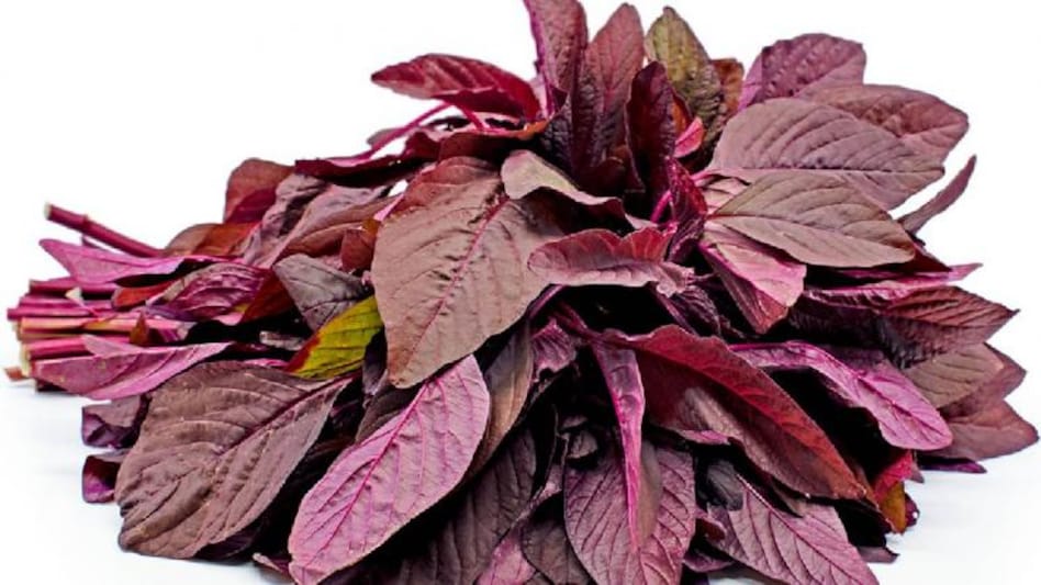 Decoding the nutritional values of Khutura Xaak aka Amaranth leaves Decoding the nutritional values of Khutura Xaak aka Amaranth leaves