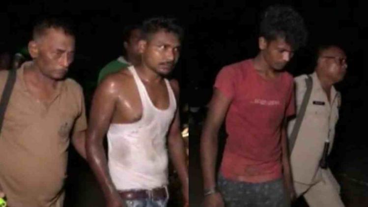 Assam: 14 illegally smuggled cows seized in Golaghat, 2 held
