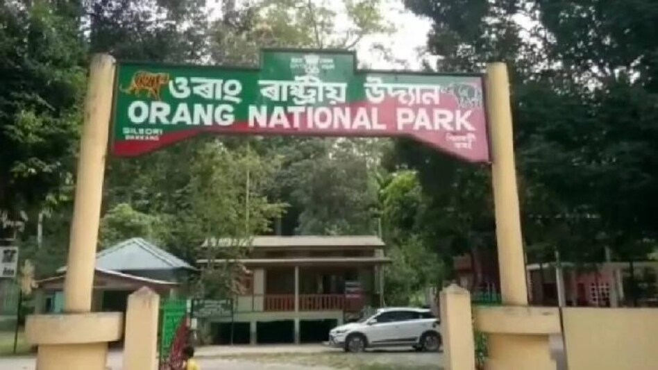 Orang National Park