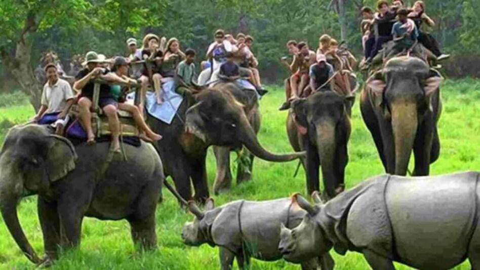 Kaziranga National Park likely to reopen for tourists after October 15 Kaziranga National Park likely to reopen for tourists after October 15