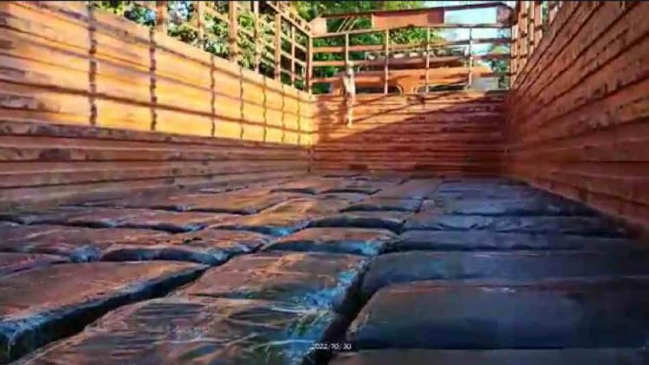 Marijuana worth Rs 80 lakh seized in Karbi Anglong Marijuana worth Rs 80 lakh seized in Karbi Anglong