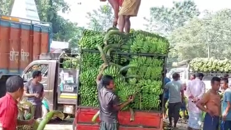 Did you know the bananas which you offer in Chhath Puja across India