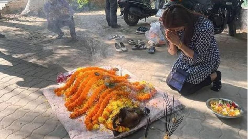 Zorba, India's first dog on anti-poacher duty, dies in Guwahati Zorba, India's first dog on anti-poacher duty, dies in Guwahati
