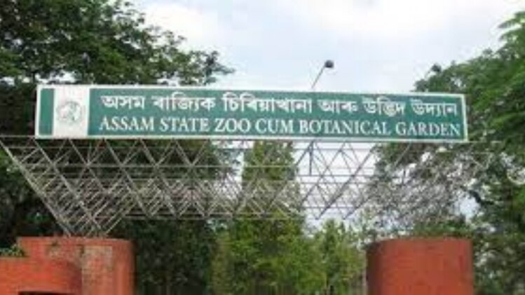 The truth behind the transfer of animals from Assam State Zoo to Ambani