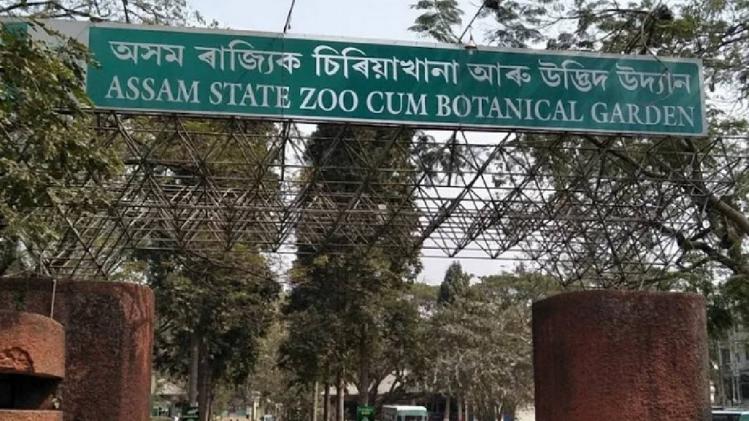 Assam Heaters installed, plastic sheets come up at Guwahati Zoo to