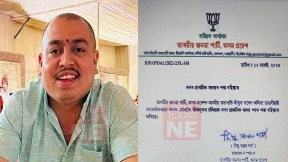 BJP expels invitee member of BJP Kisan Morcha Anurag Chaliha over Indrani Tahbildar's death