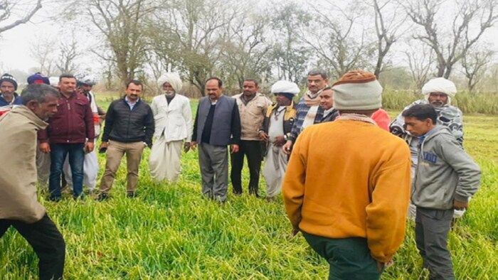 उदयपुर में बारिश से फसलों के नुकसान का निरीक्षण करते कृषि अधिकारी