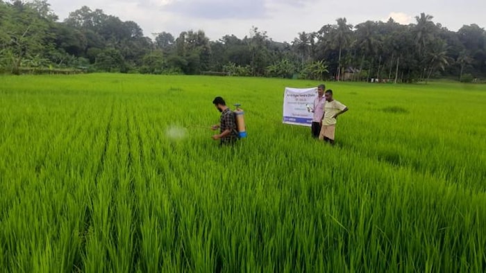 एक्सपर्ट कर रहे हैं इन पांच फसलों पर नैनो डीएपी का ट्रायल, फोटो साभार: twitter