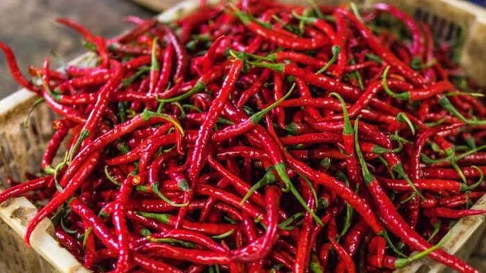 विदेशों में मांग बढ़ने से मिर्च के भाव में तेजी आई है