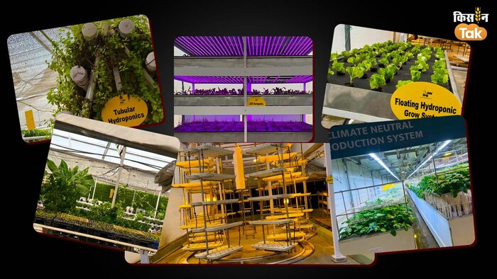 कृषि क्षेत्र के विकास के लिए क्यों जरूरी है नई तकनीक हाइड्रोपोनिक, एरोपोनिक और वर्टिकल फार्मिंग (All Photo-Kisan Tak)