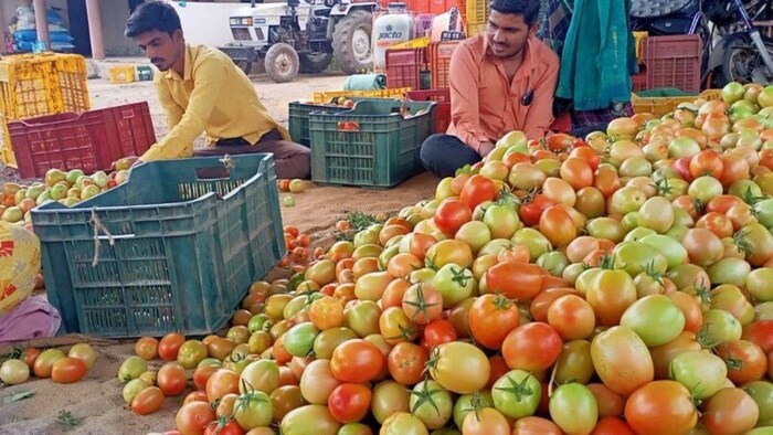 तीन रुपये किलो तक आ गया टमाटर का भाव