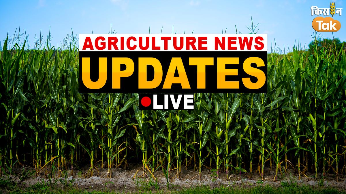 Agriculture News: कृषि से जुड़ी हर खबर का लाइव अपडेट
