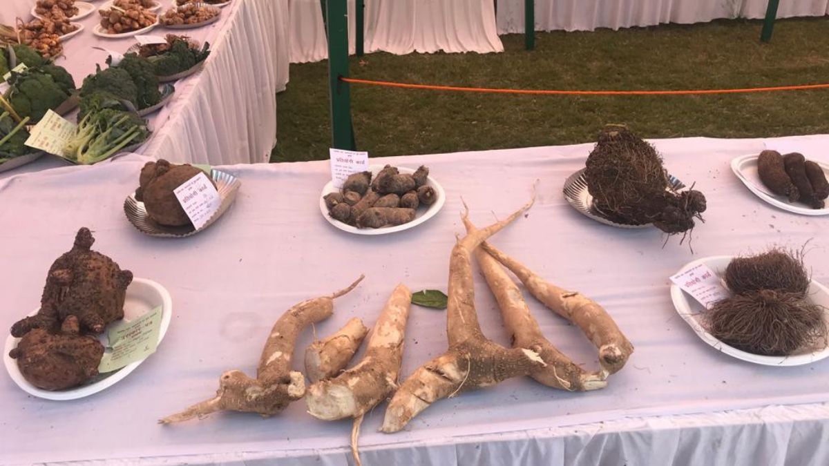 झांसी किसान मेला 2023