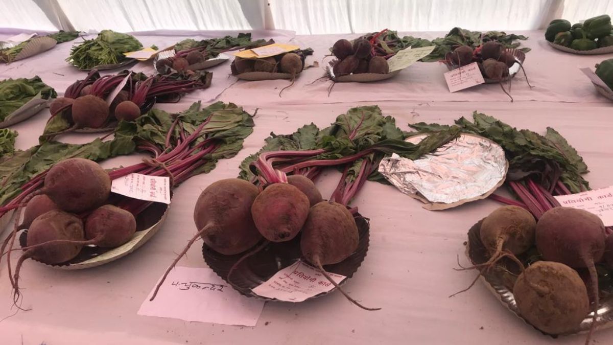 झांसी किसान मेला 2023