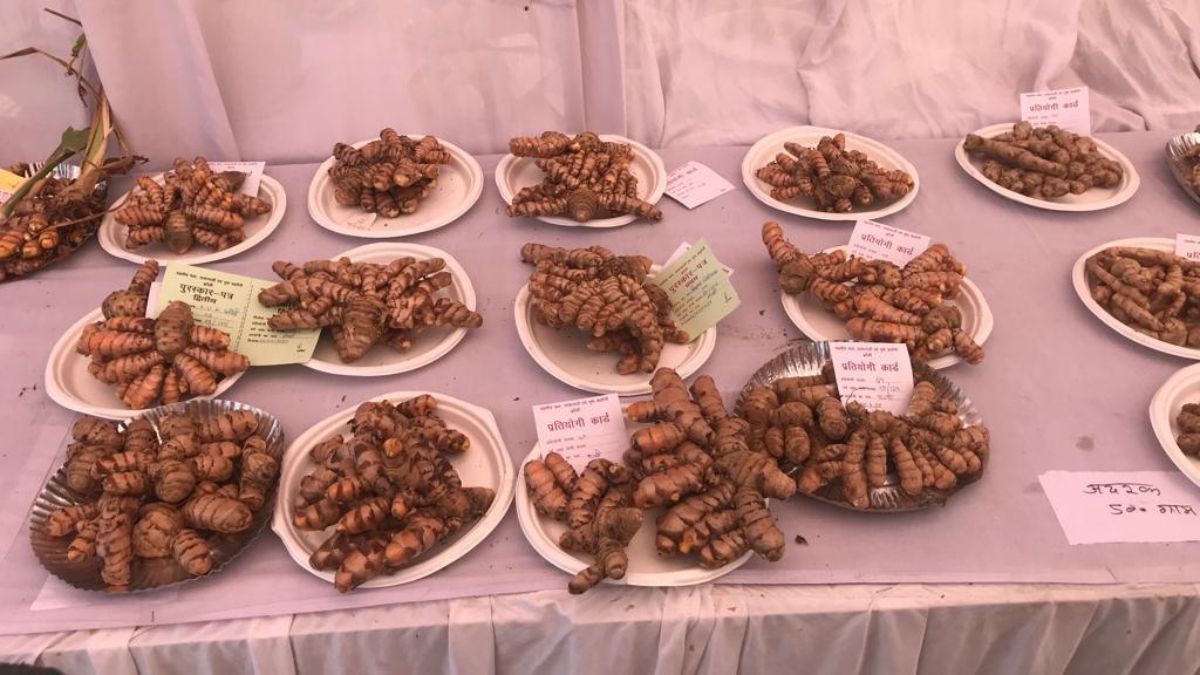 झांसी किसान मेला 2023