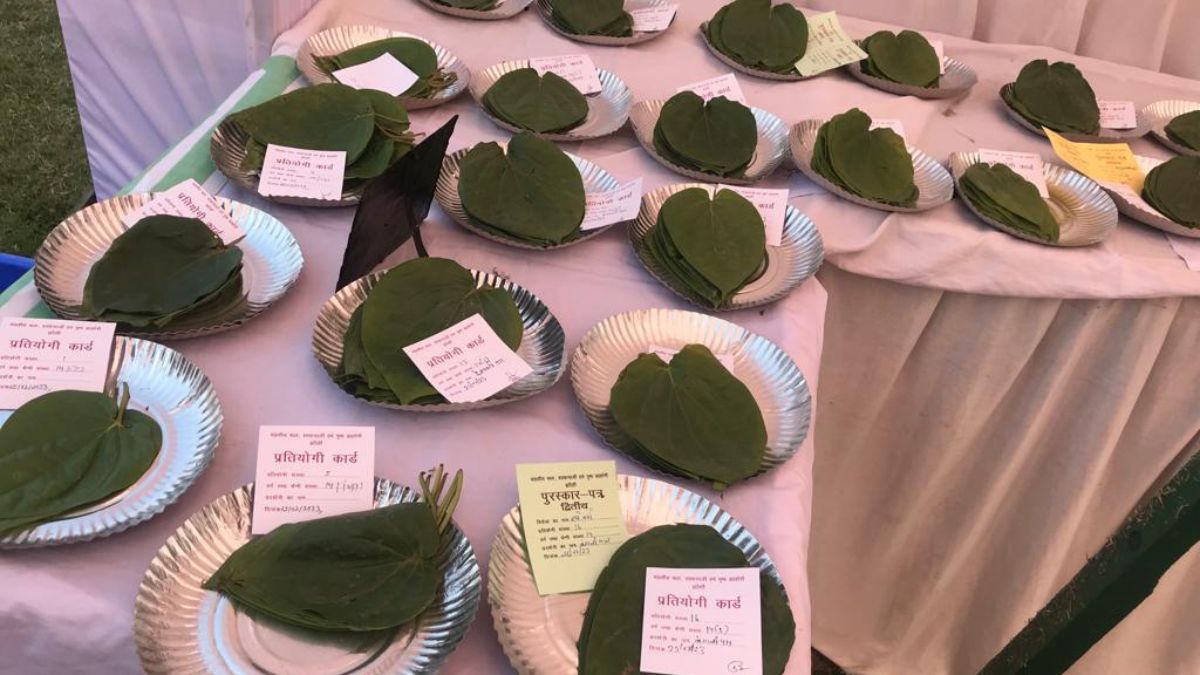 झांसी किसान मेला 2023