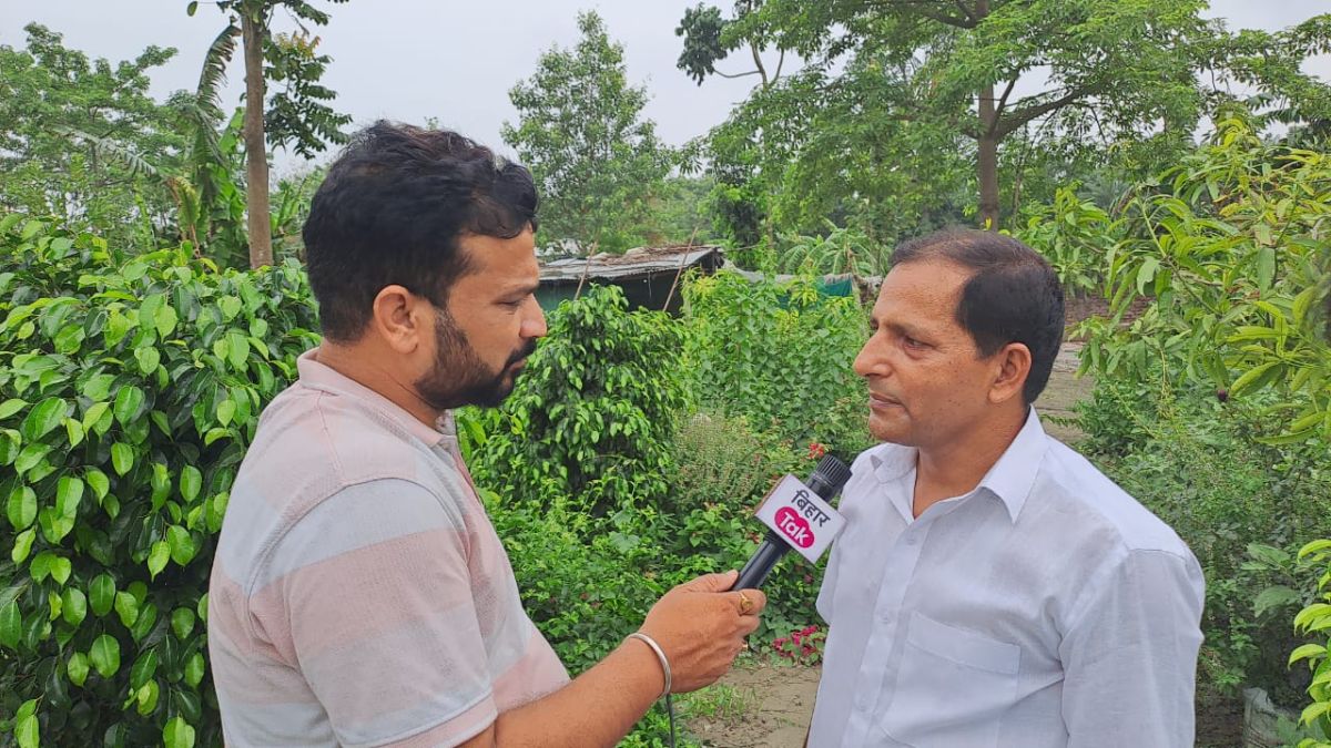 मुजफ्फरपुर में पहली बार उगा रेड रॉयल मैंगो