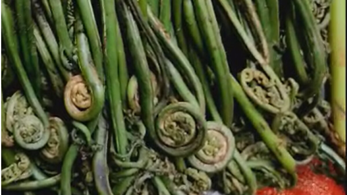 सेहतमंद है लिंगुड़ा की सब्जी