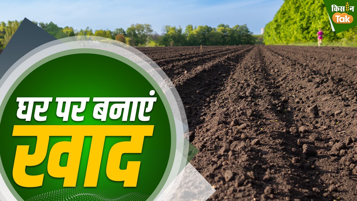 पराली से बनती है खाद