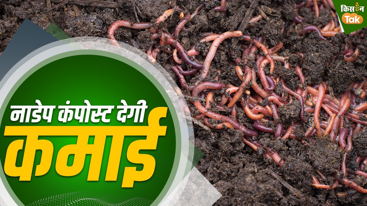 पराली से बनाएं कंपोस्ट