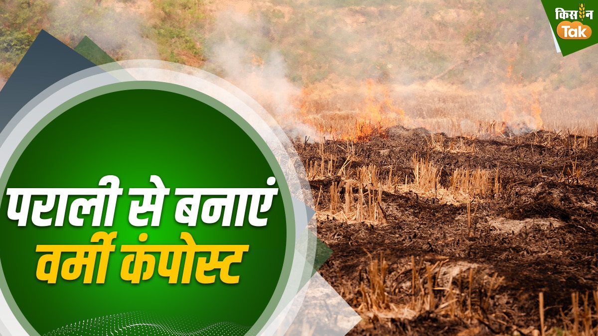 पराली से बनाएं वर्मी कंपोस्ट