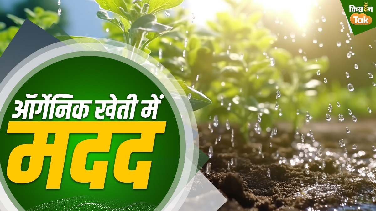 पराली से ऑर्गेनिक खेती में मदद मिलती है