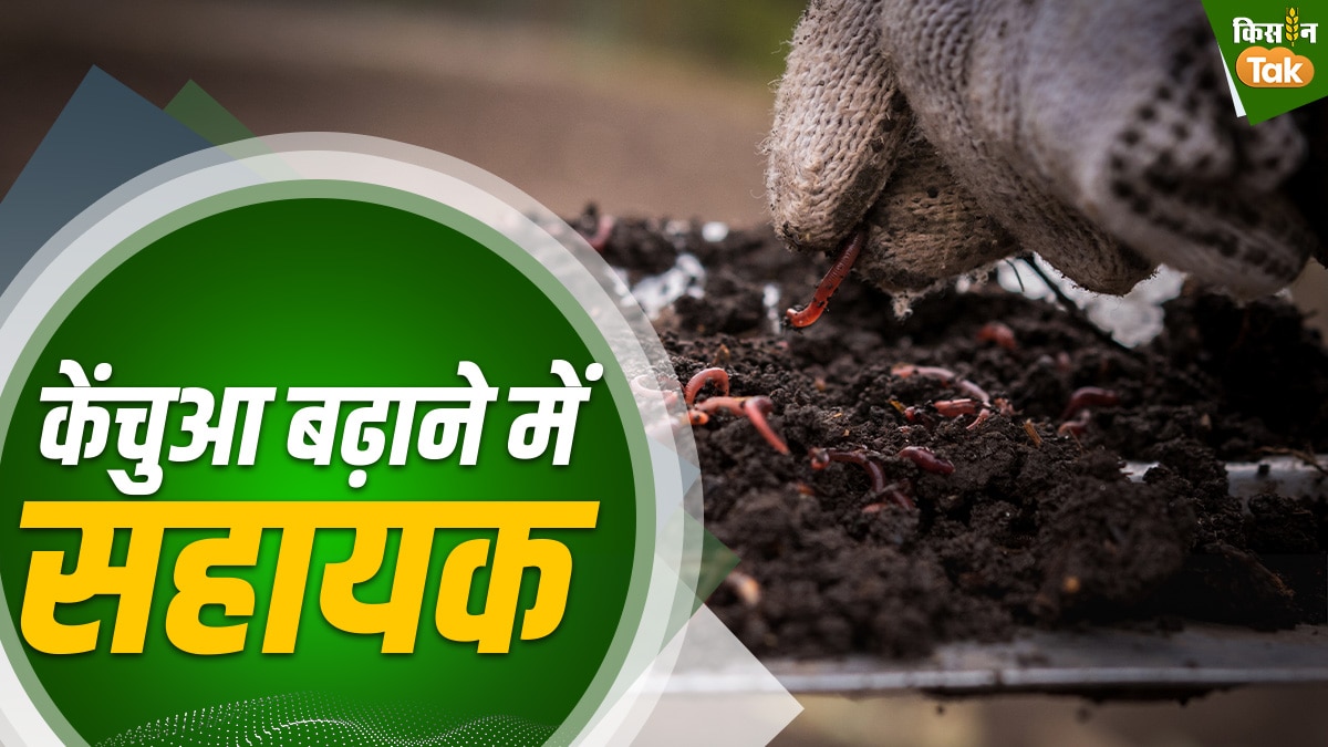 पराली से केंचुआ बढ़ाने में मदद मिलती है