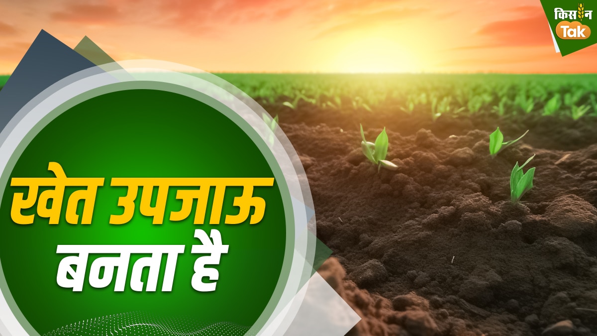 पराली से खेत उपजाऊ बनता है