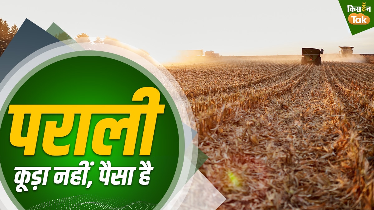 पराली से करें बंपर कमाई