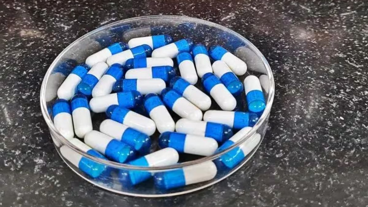 bio decomposer capsul