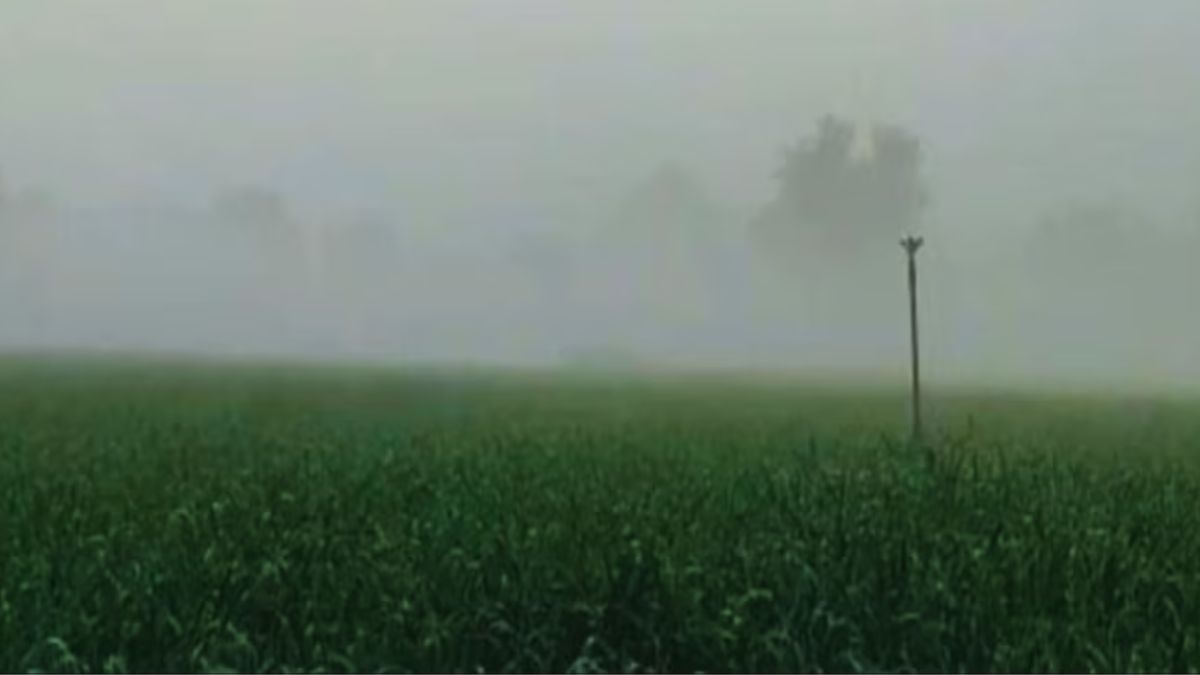 फरवरी महीने में खेती