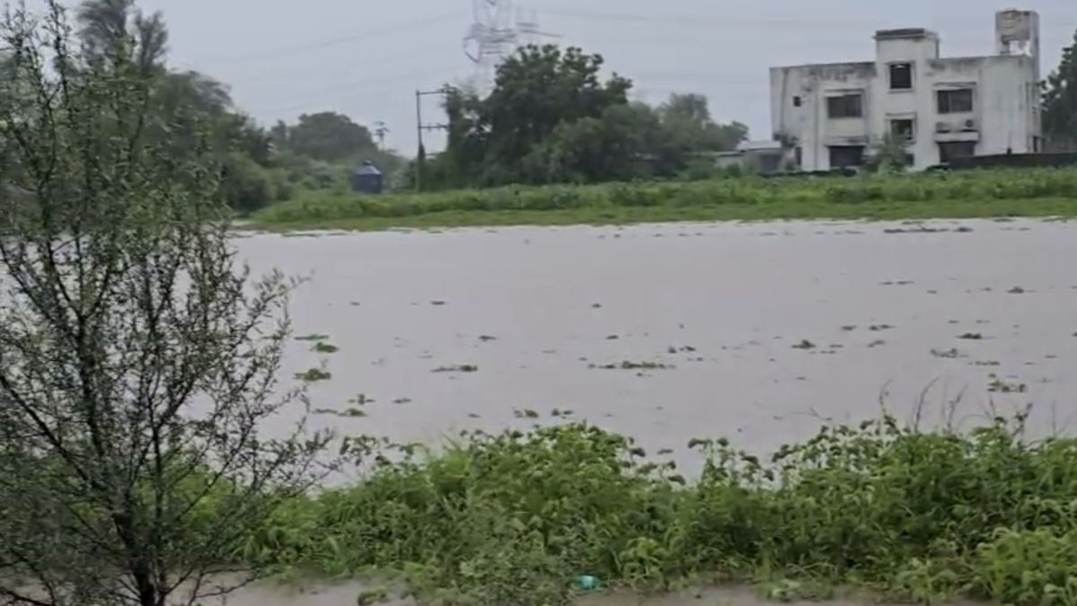 मूसलाधार बारिश से खेत बने तालाब