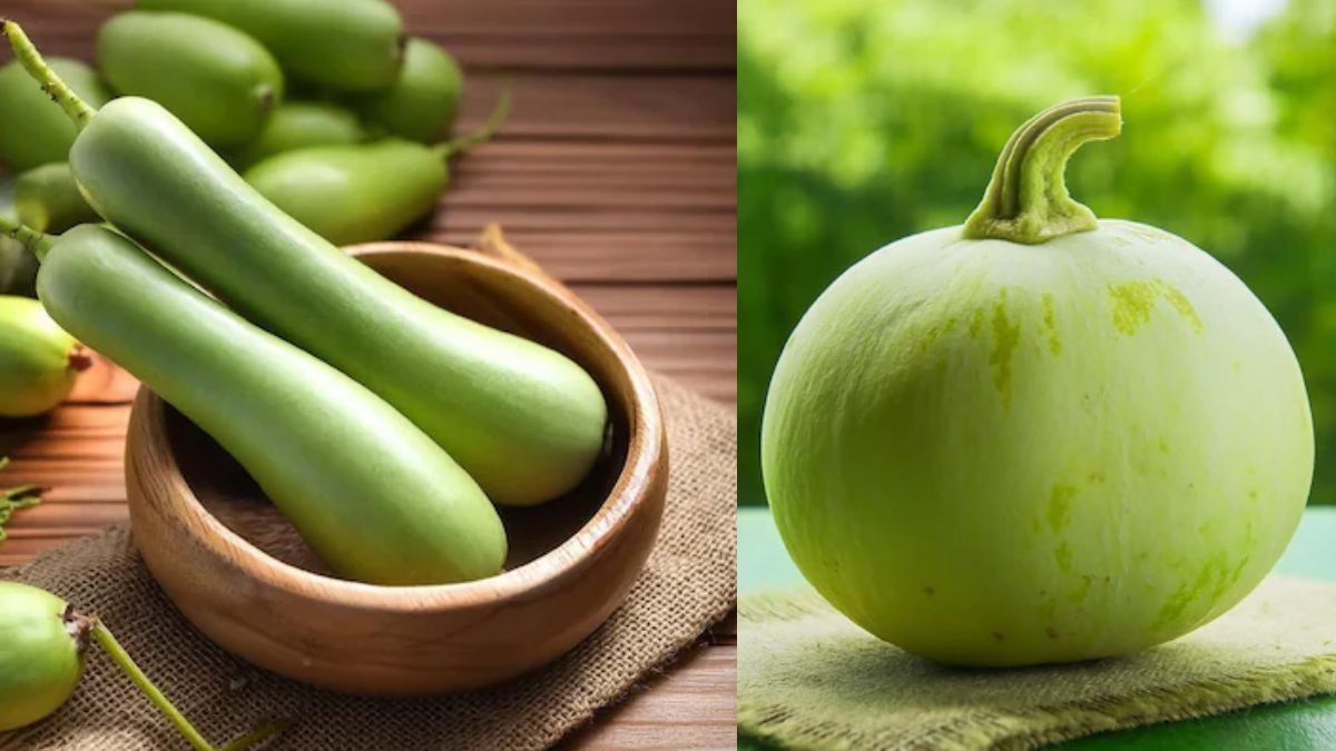 गोल या लंबी कौन सी लौकी है फायदेमंद