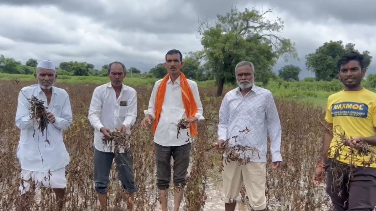Jalna Rain Crop Damage news