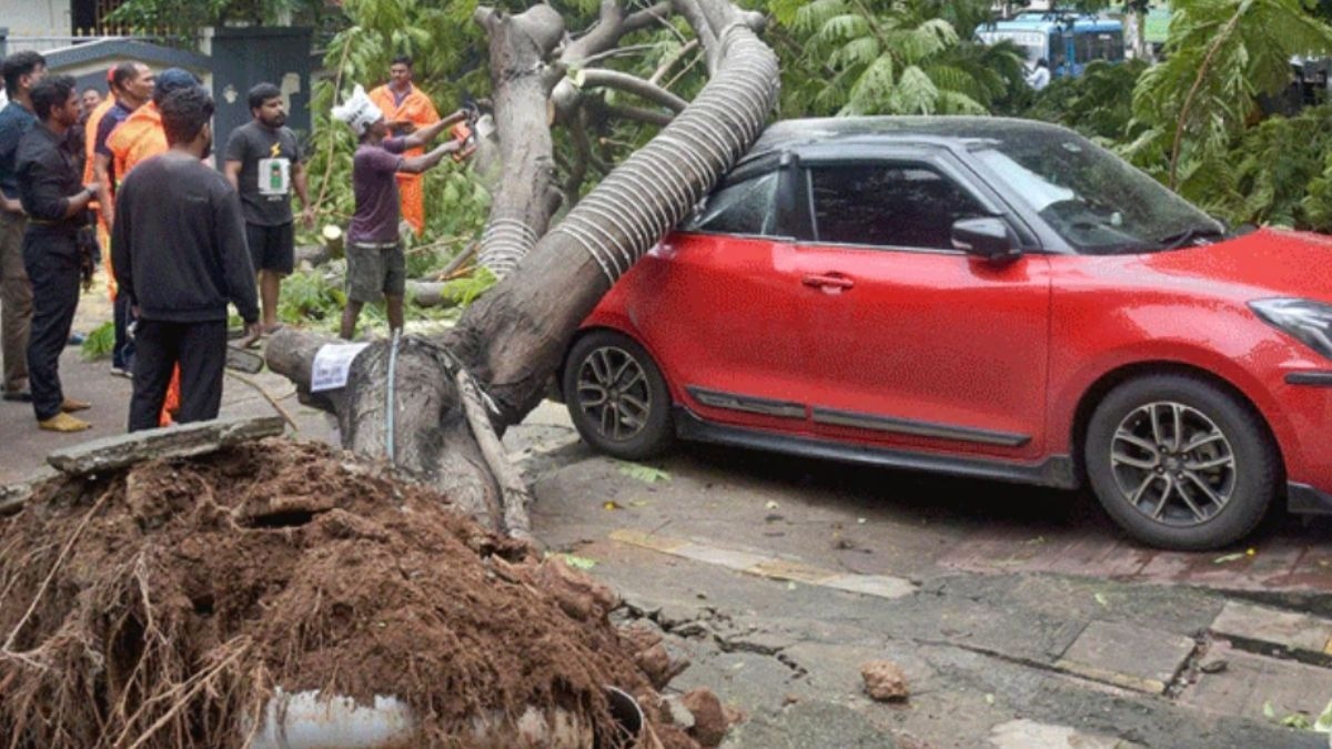 Cyclone Montha Andhra destruction