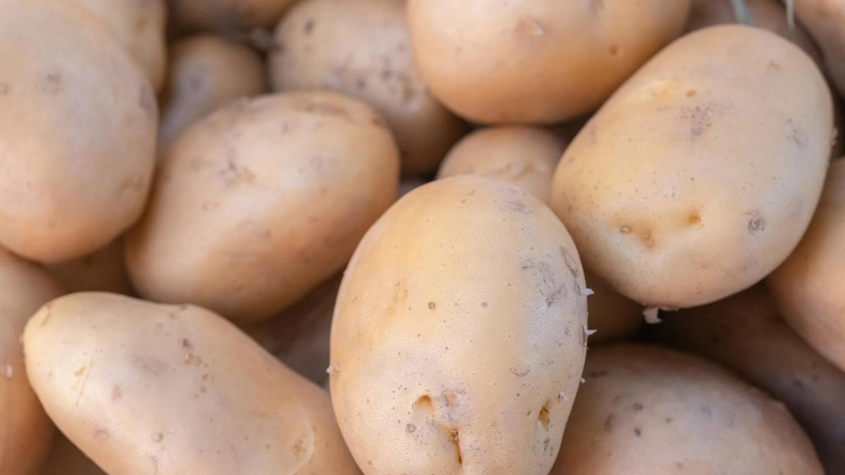 Potato Varieties
