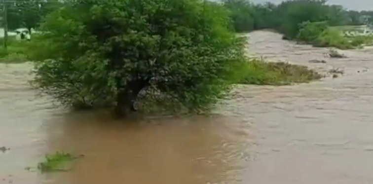 किसानों की मेहनत पर पानी फिरा – फसलें हुई बर्बाद