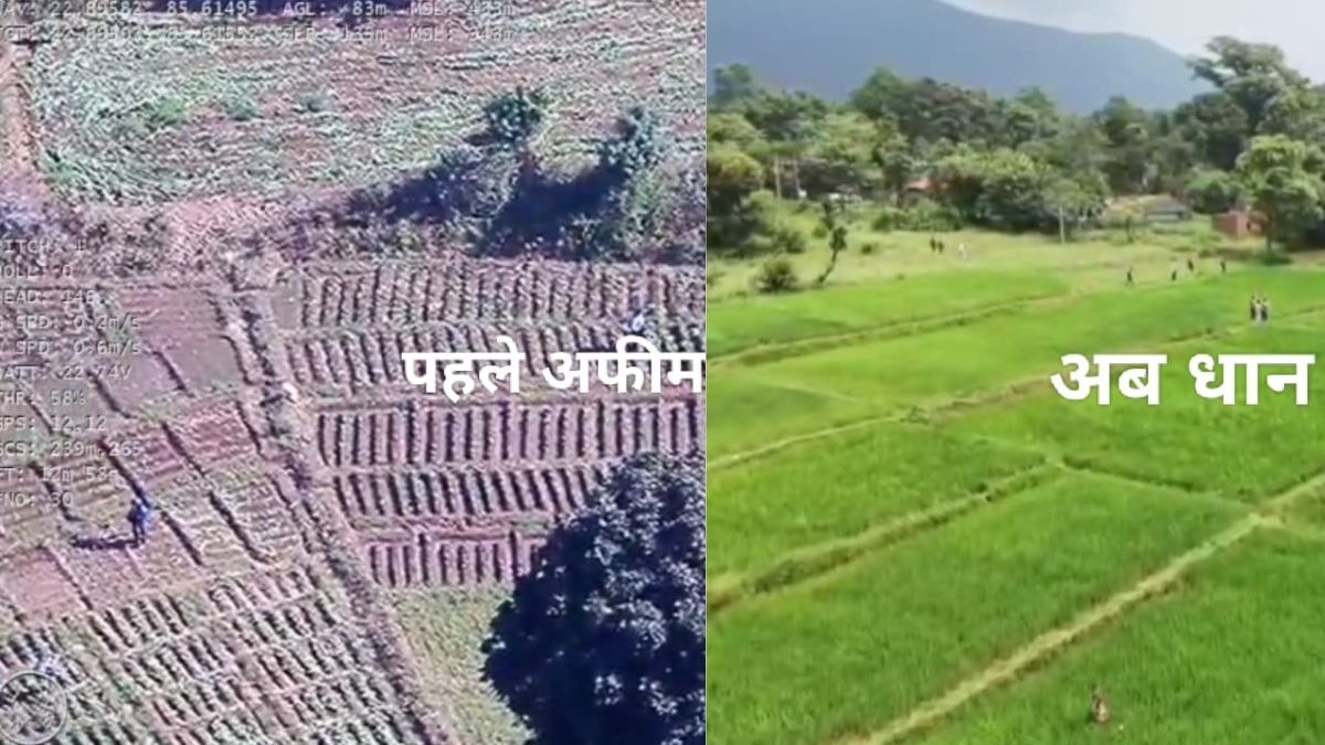 अफीम मुक्त हुई ये जगह