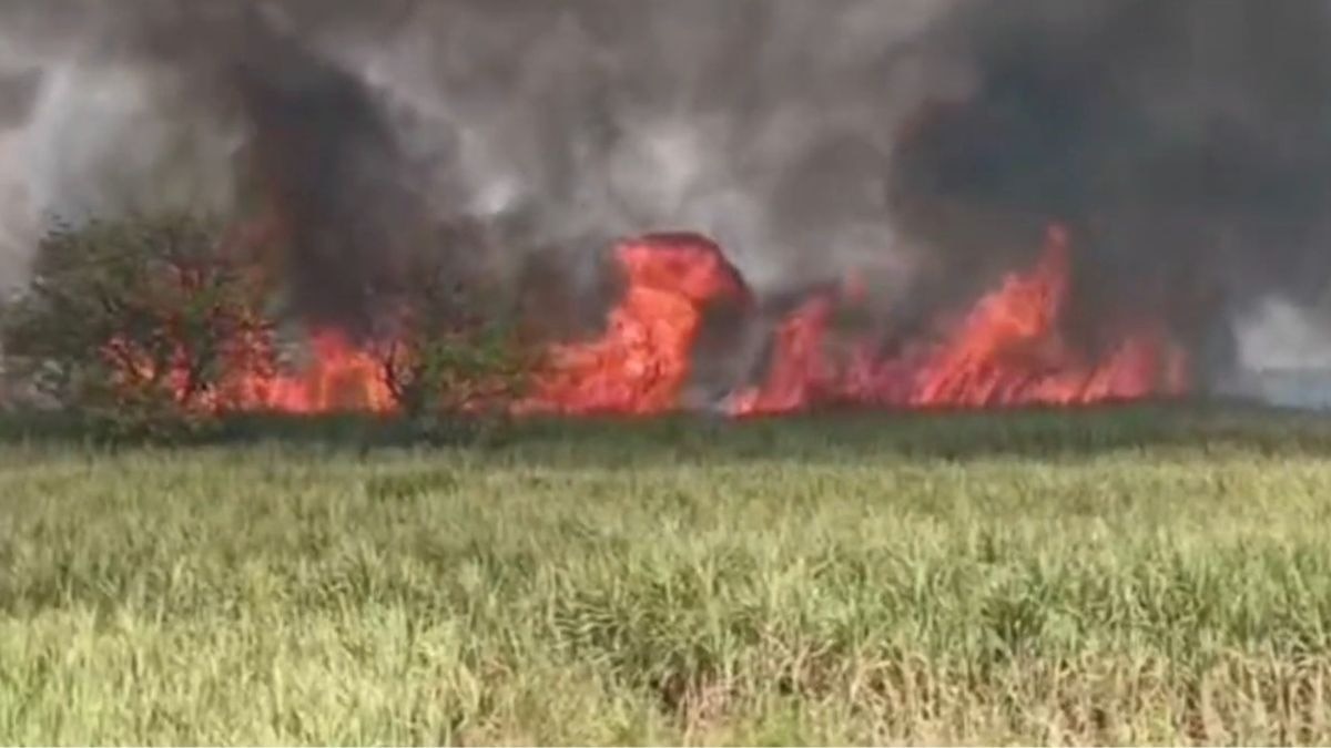 गन्ने के खेत में लगी भीषण आग