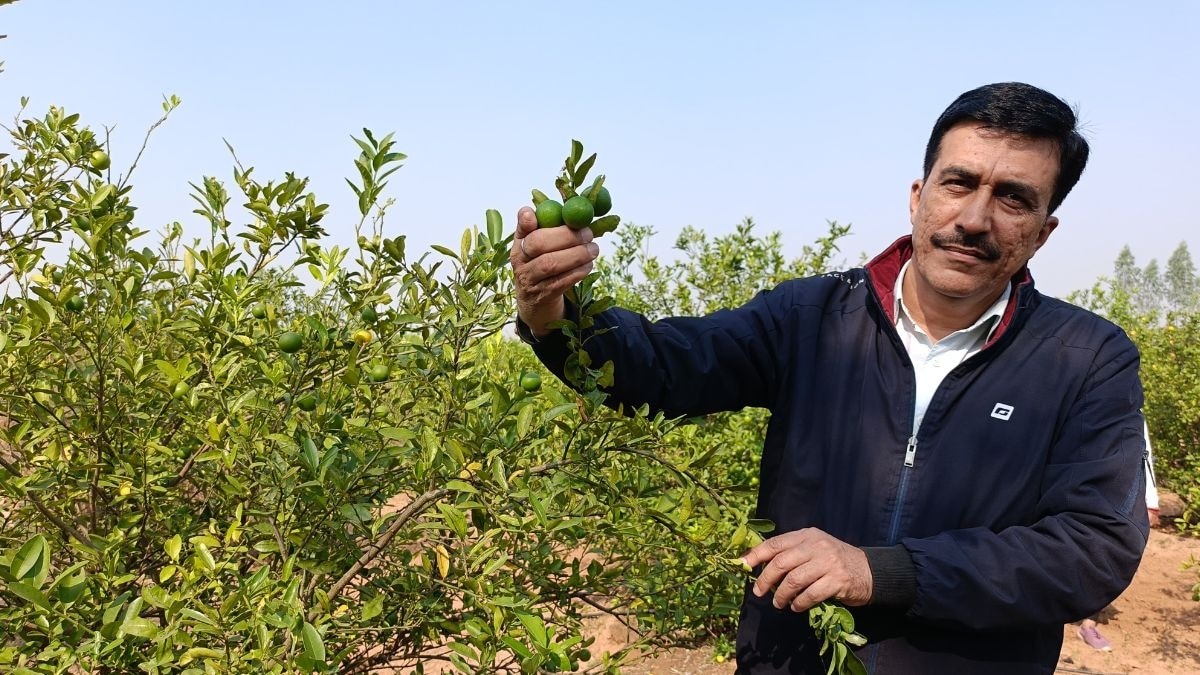 Dholpur Farmer Ram Lakhan Gurjar
