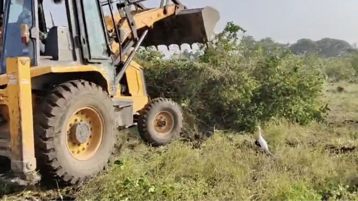 जालना-मोसंबी उत्पादन का बड़ा केंद्र